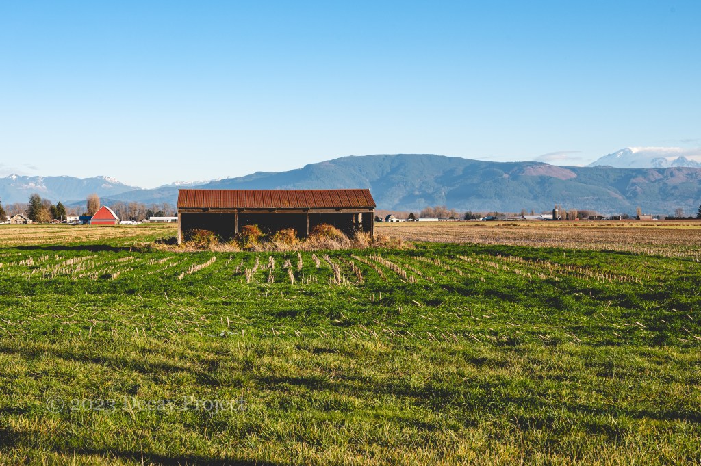 Location: Skagit County, December&nbsp;2023